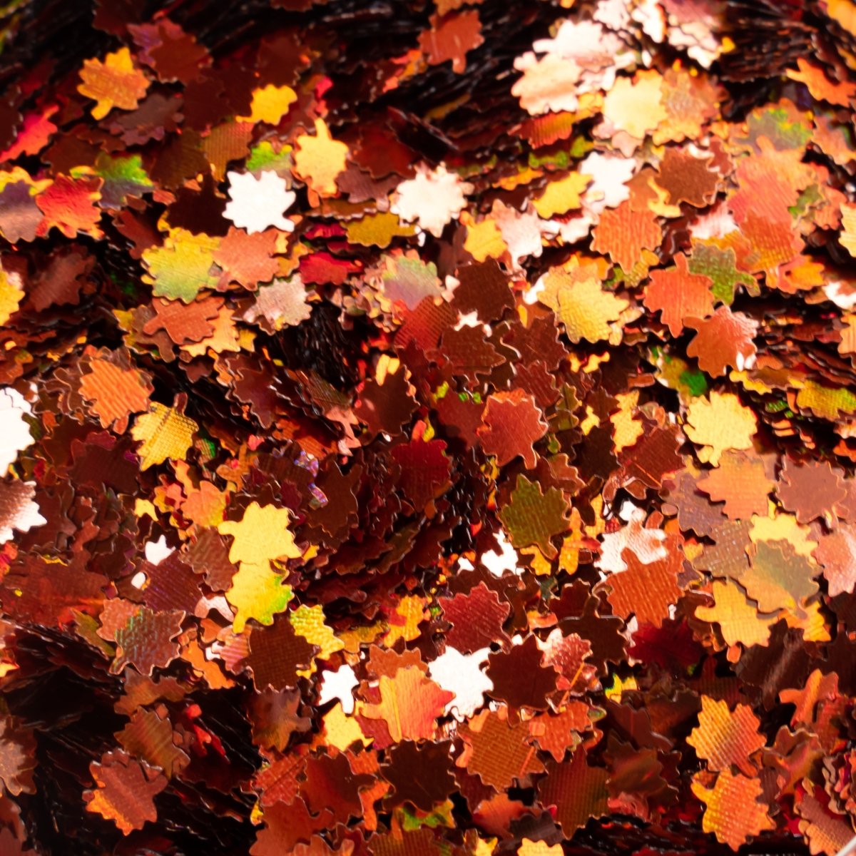 (6) Leafs - Hey Beautiful Nail Supplies