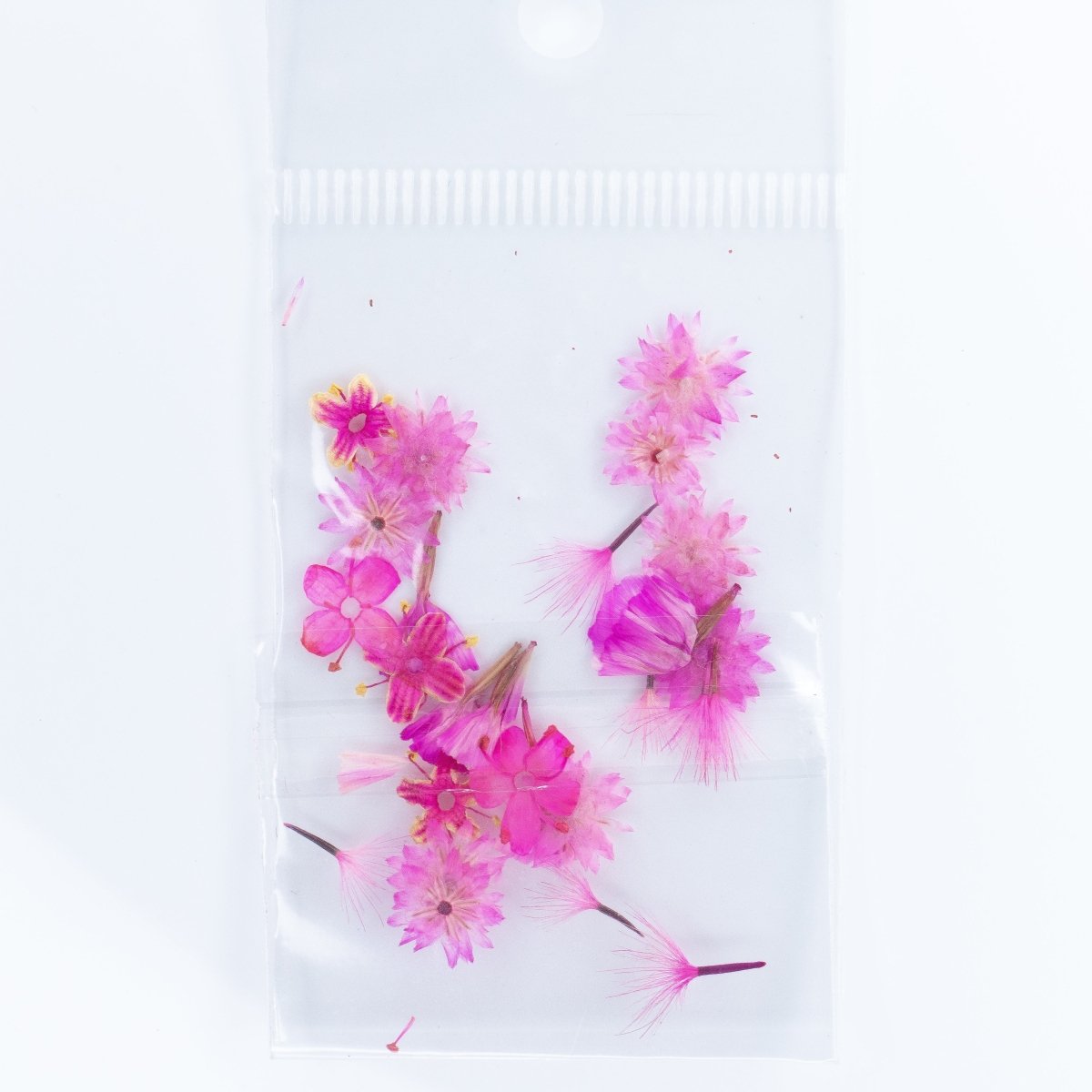 Dry Flower (4) - Hey Beautiful Nail Supplies