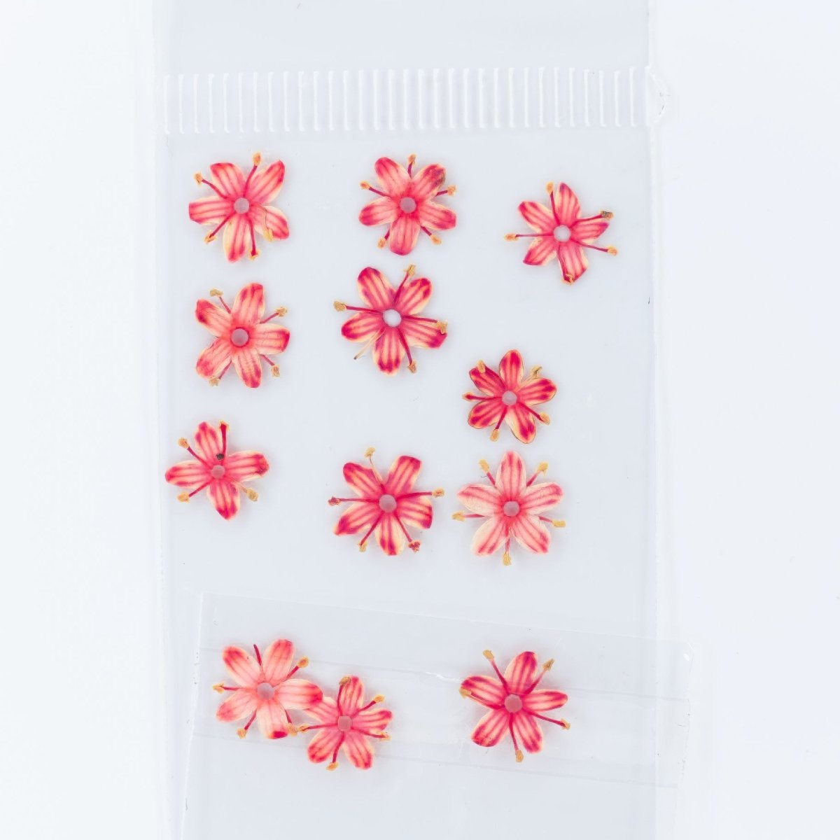 Dry Flowers (101) - Hey Beautiful Nail Supplies