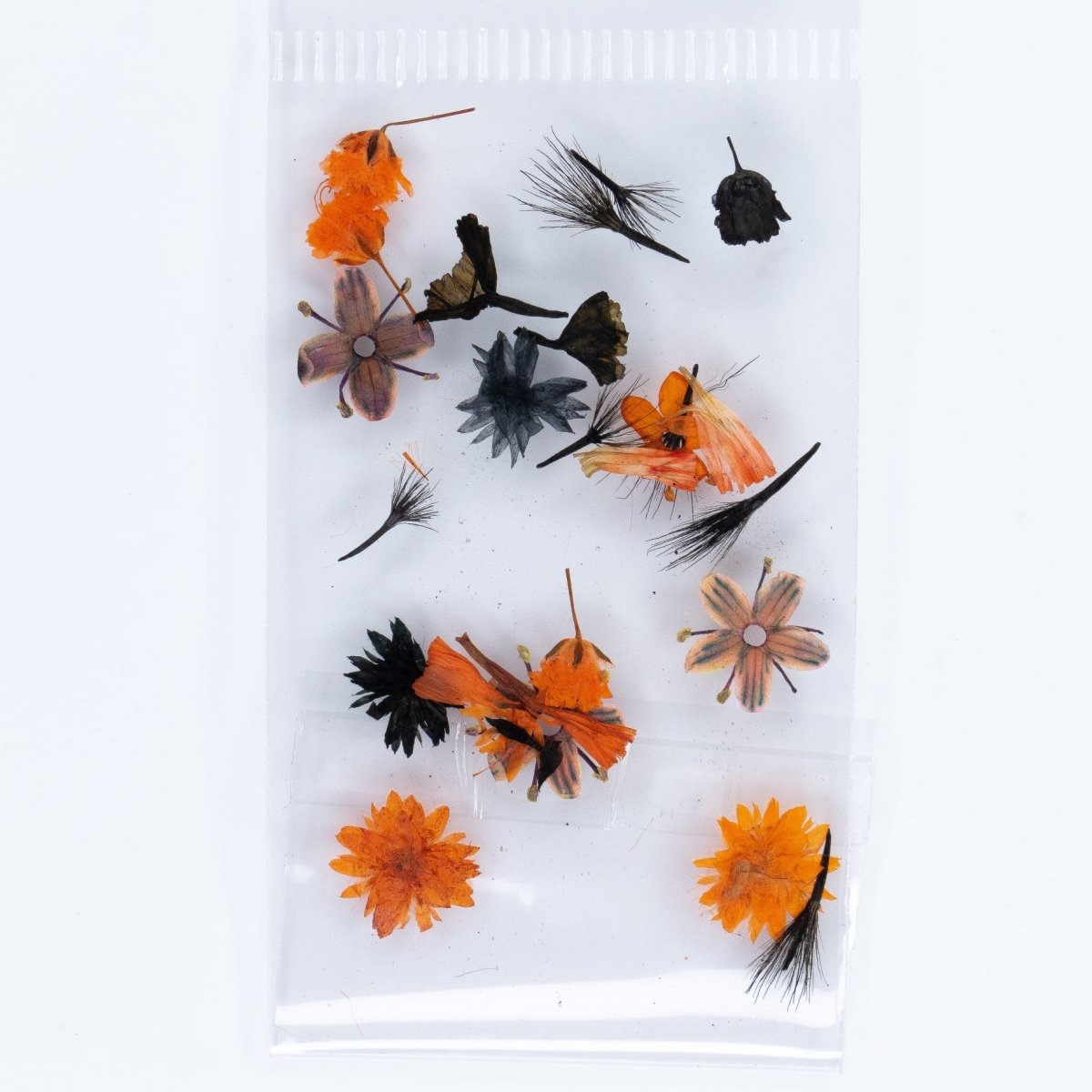 Dry Flowers (14) - Hey Beautiful Nail Supplies