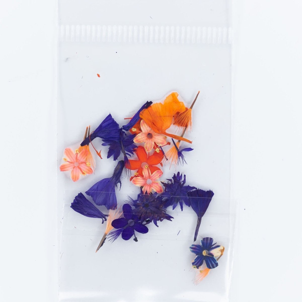 Dry Flowers (15) - Hey Beautiful Nail Supplies