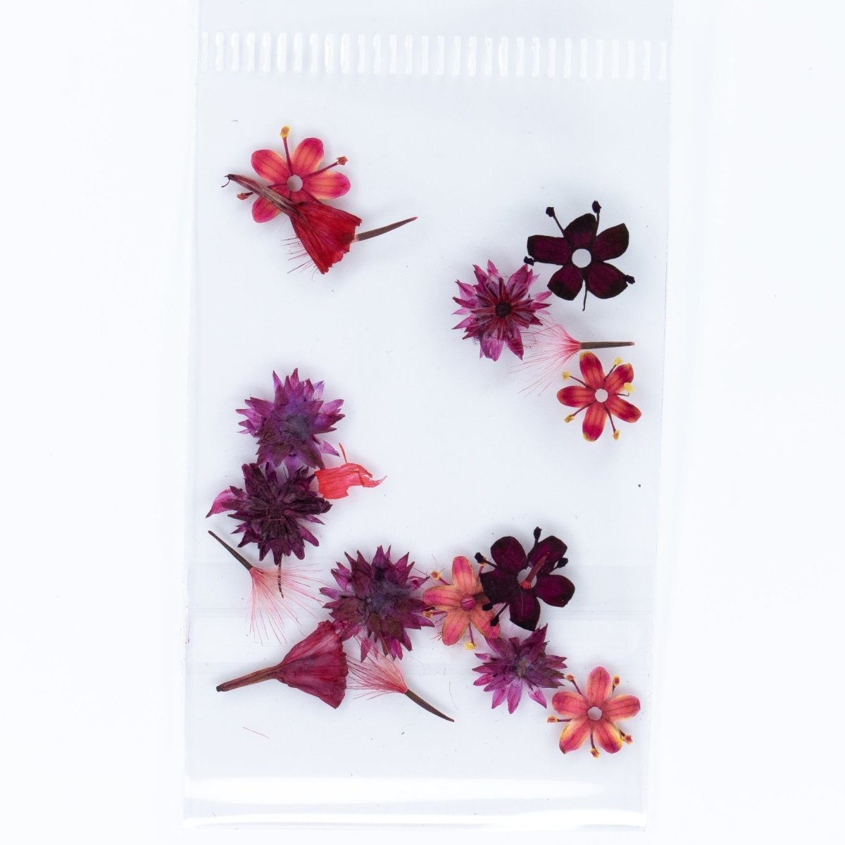 Dry Flowers (16) - Hey Beautiful Nail Supplies