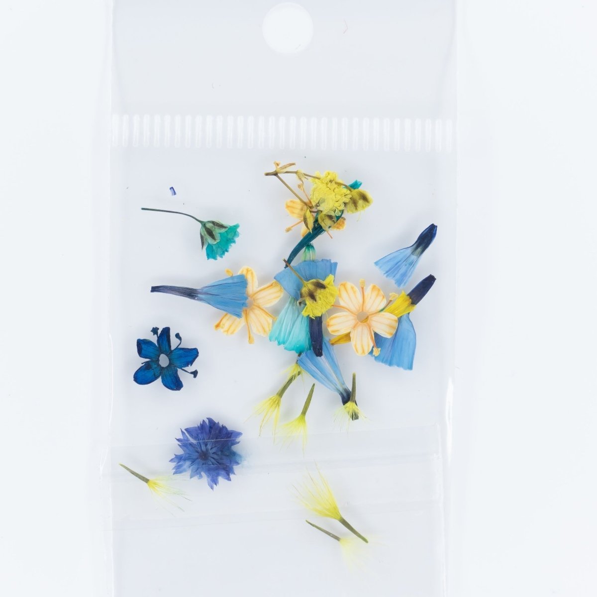 Dry Flowers (23) - Hey Beautiful Nail Supplies