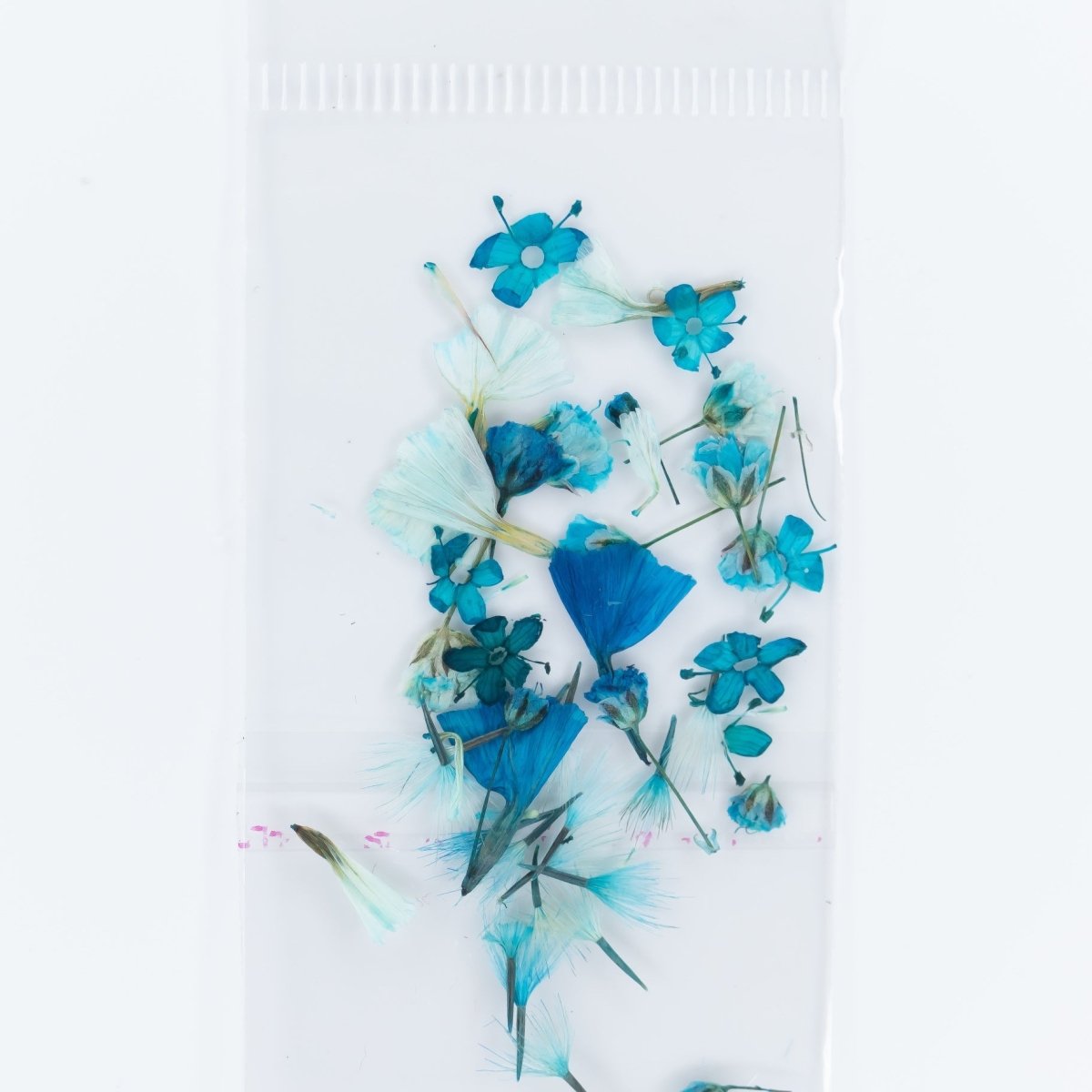 Dry Flowers (24) - Hey Beautiful Nail Supplies