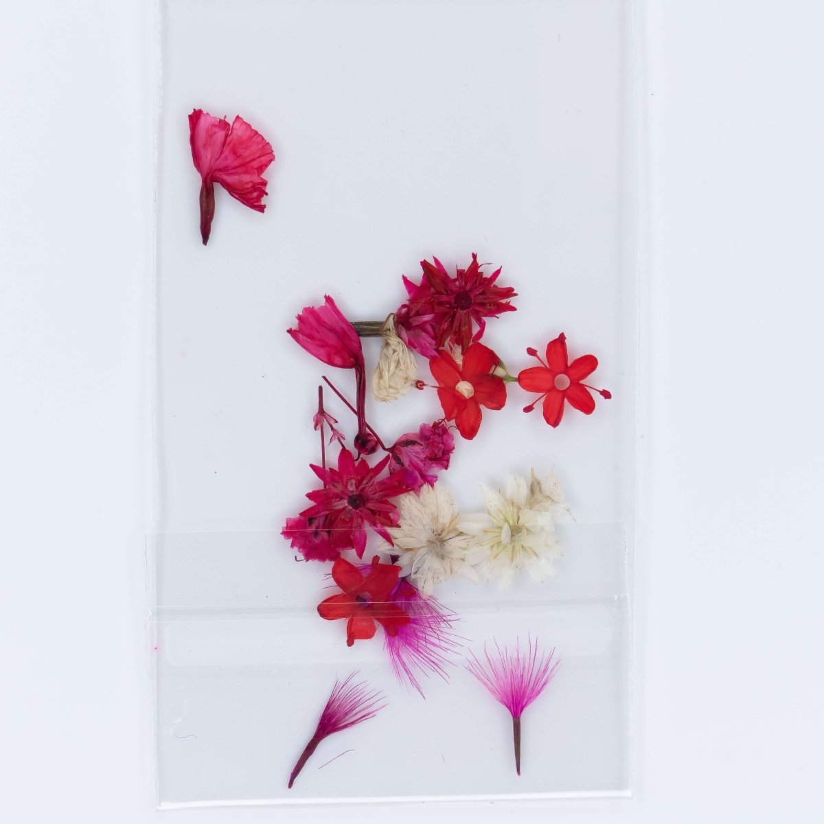 Dry Flowers (27) - Hey Beautiful Nail Supplies