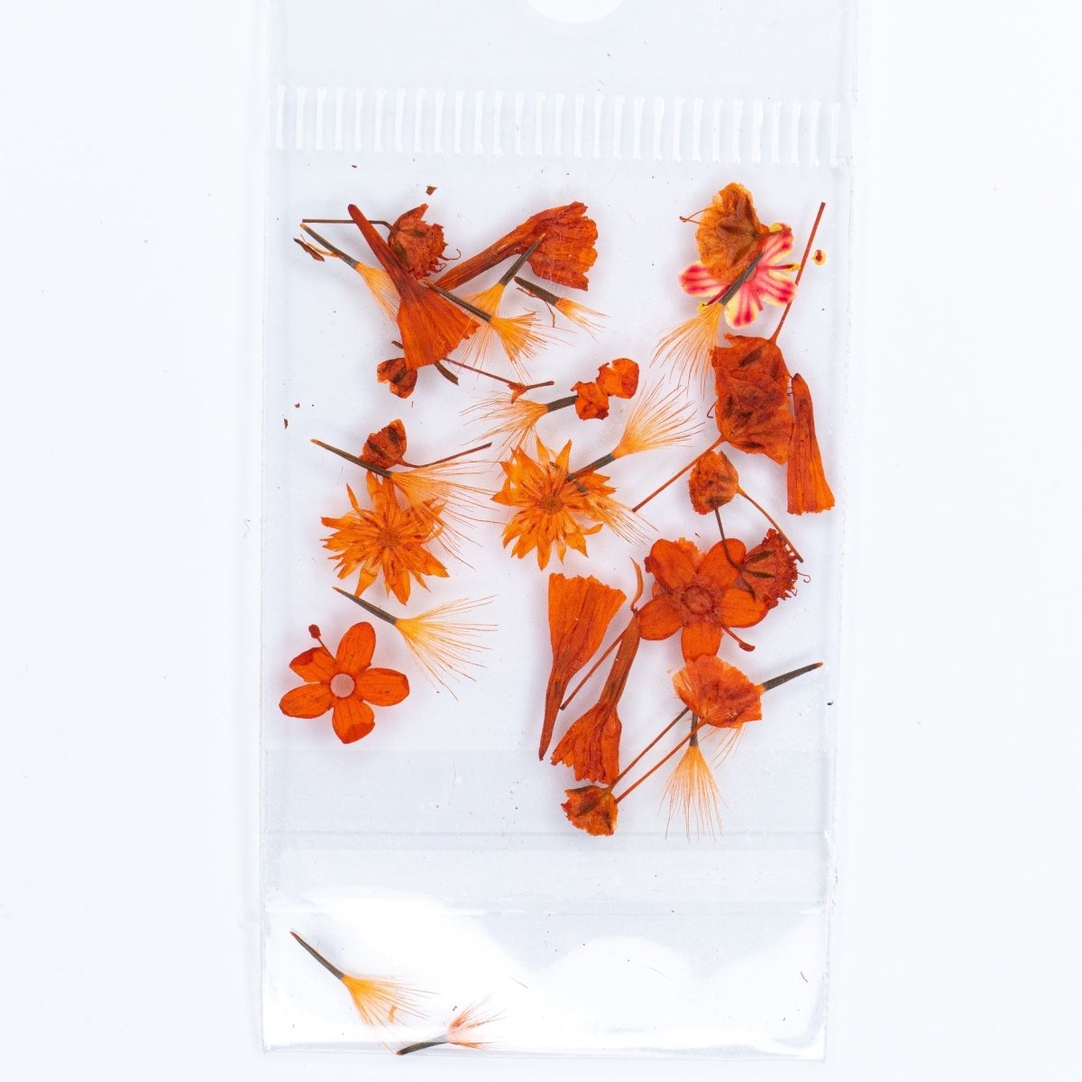 Dry Flowers (29) - Hey Beautiful Nail Supplies