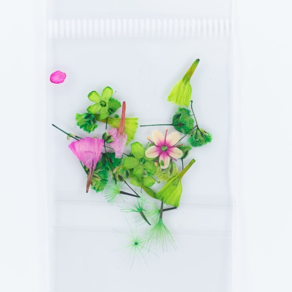 Dry Flowers (31) - Hey Beautiful Nail Supplies