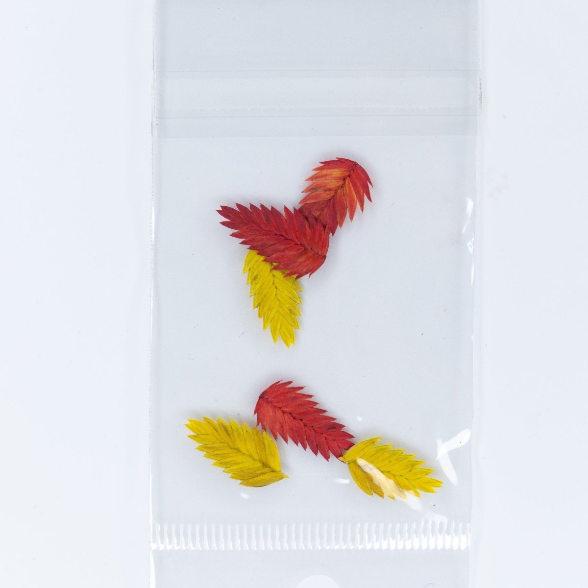 Dry Flowers (43) - Hey Beautiful Nail Supplies