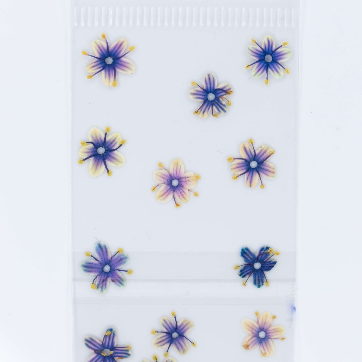 Dry Flowers (45) - Hey Beautiful Nail Supplies