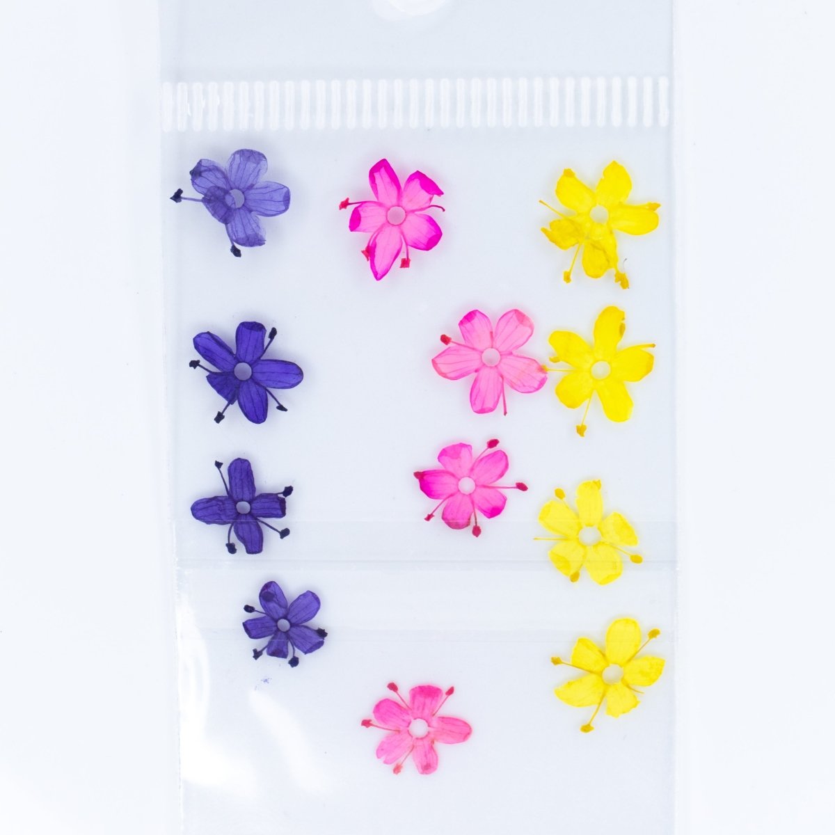 Dry Flowers (46) - Hey Beautiful Nail Supplies