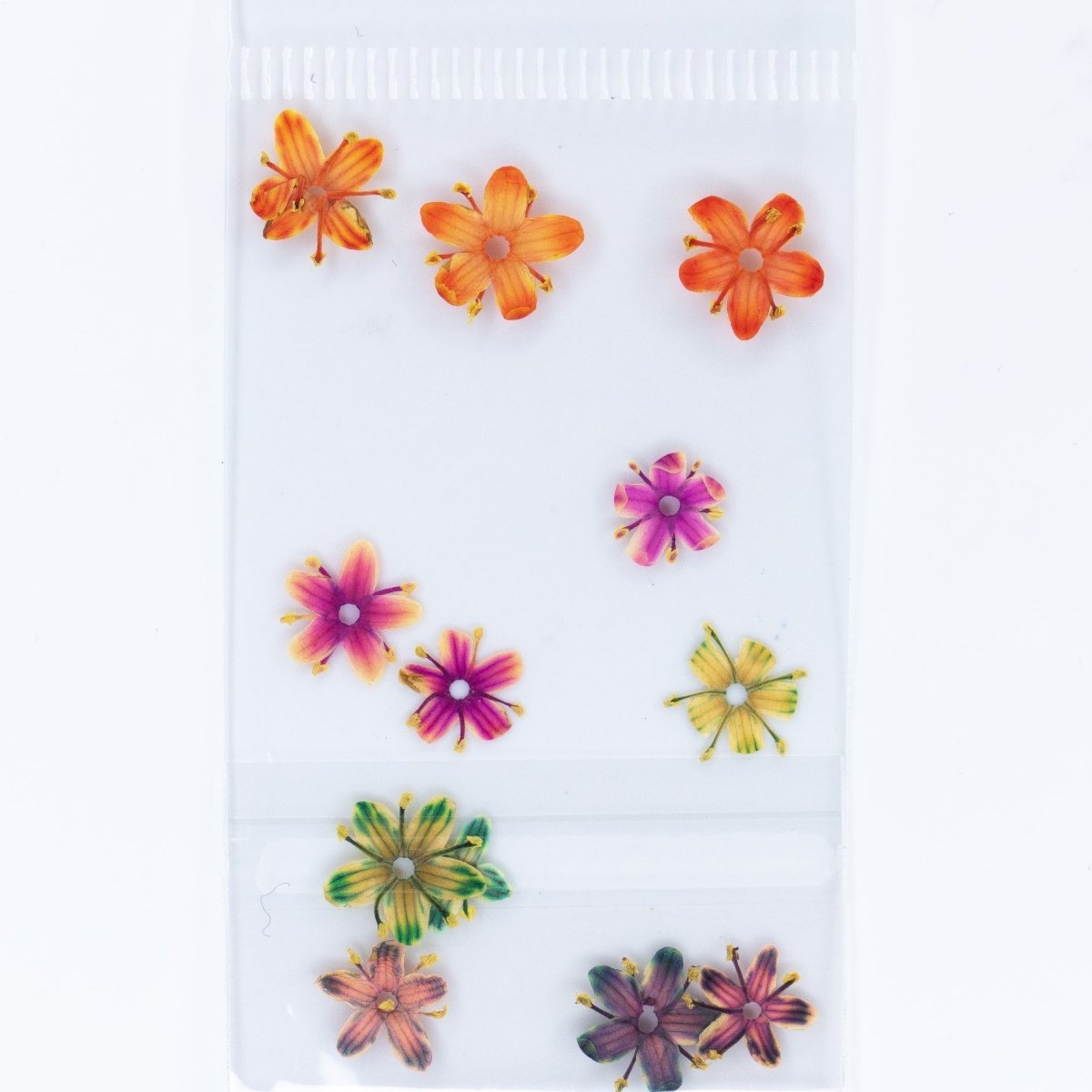 Dry Flowers (54) - Hey Beautiful Nail Supplies