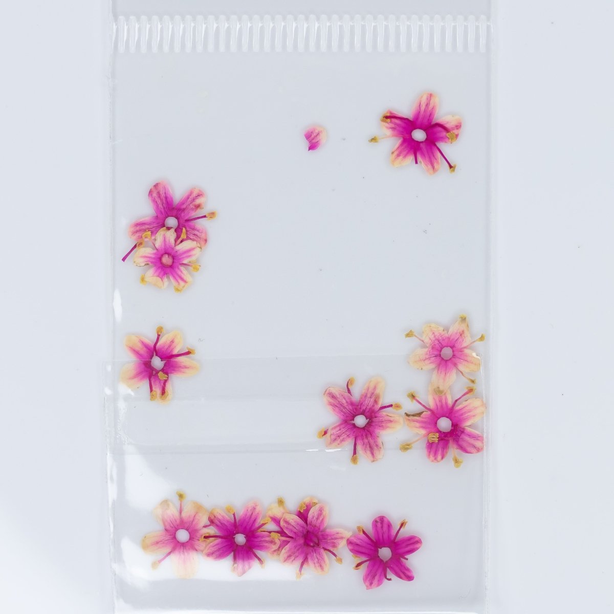 Dry Flowers (58) - Hey Beautiful Nail Supplies