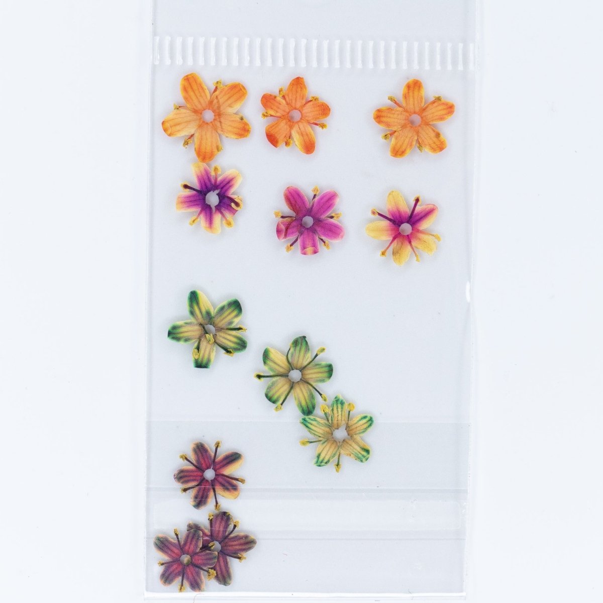 Dry Flowers (59) - Hey Beautiful Nail Supplies