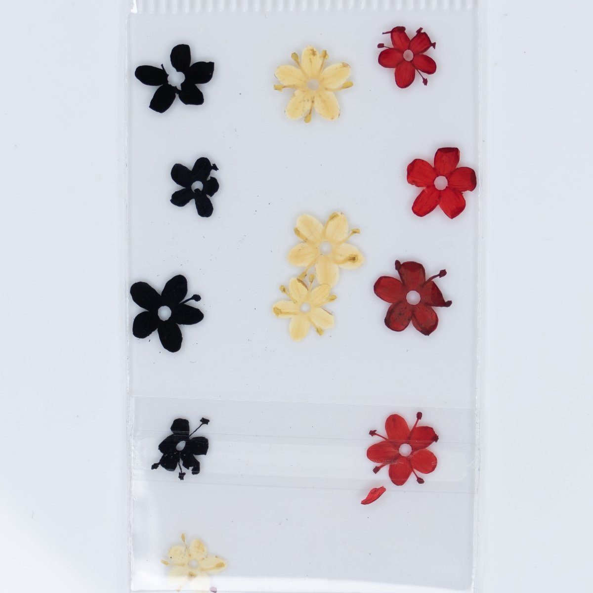 Dry Flowers (60) - Hey Beautiful Nail Supplies