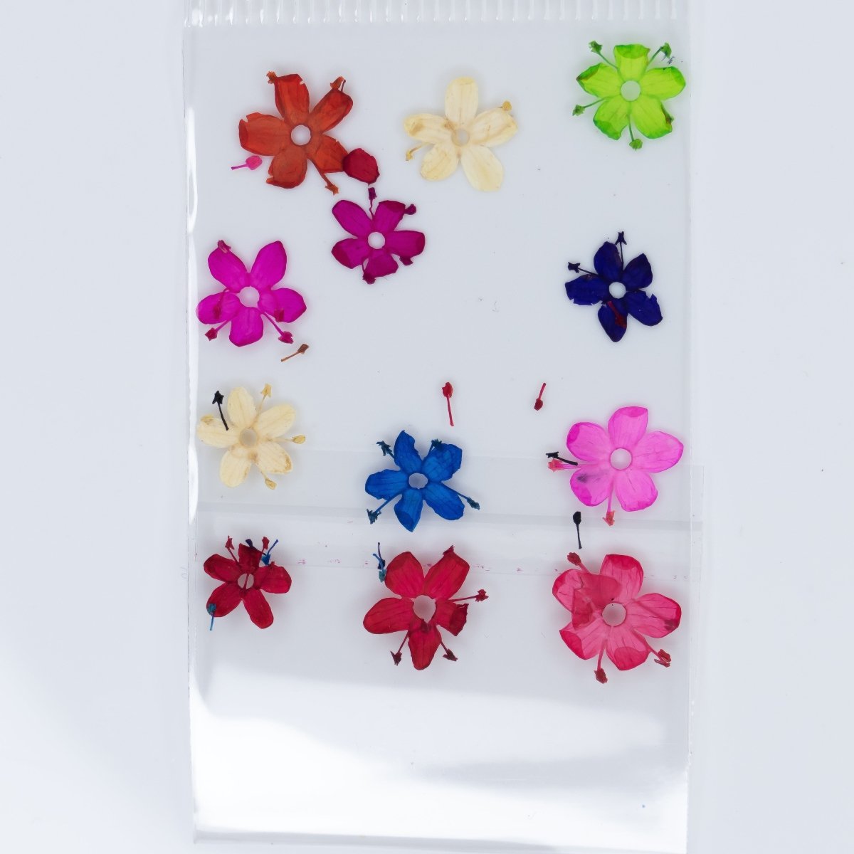 Dry Flowers (62) - Hey Beautiful Nail Supplies