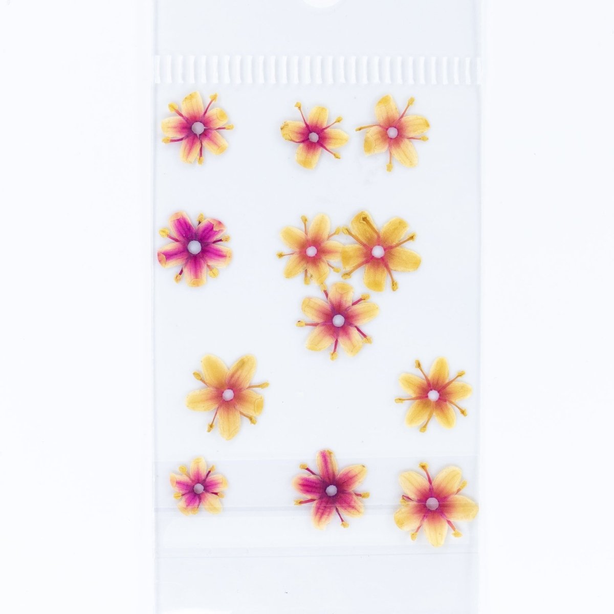 Dry Flowers (67) - Hey Beautiful Nail Supplies