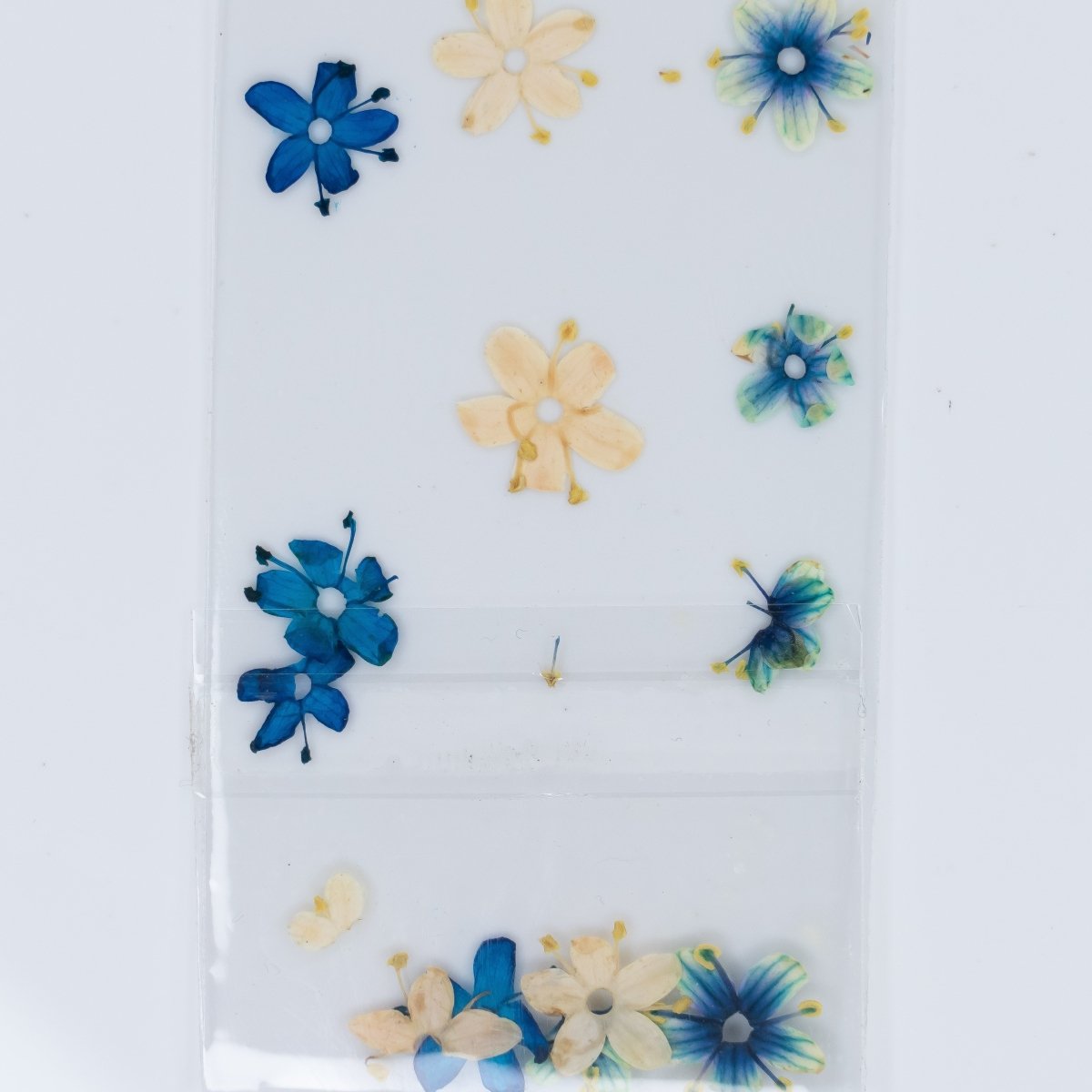 Dry Flowers (76) - Hey Beautiful Nail Supplies