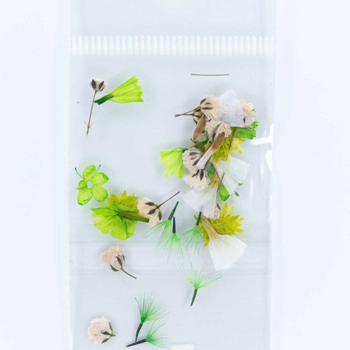 Dry Flowers (9) - Hey Beautiful Nail Supplies