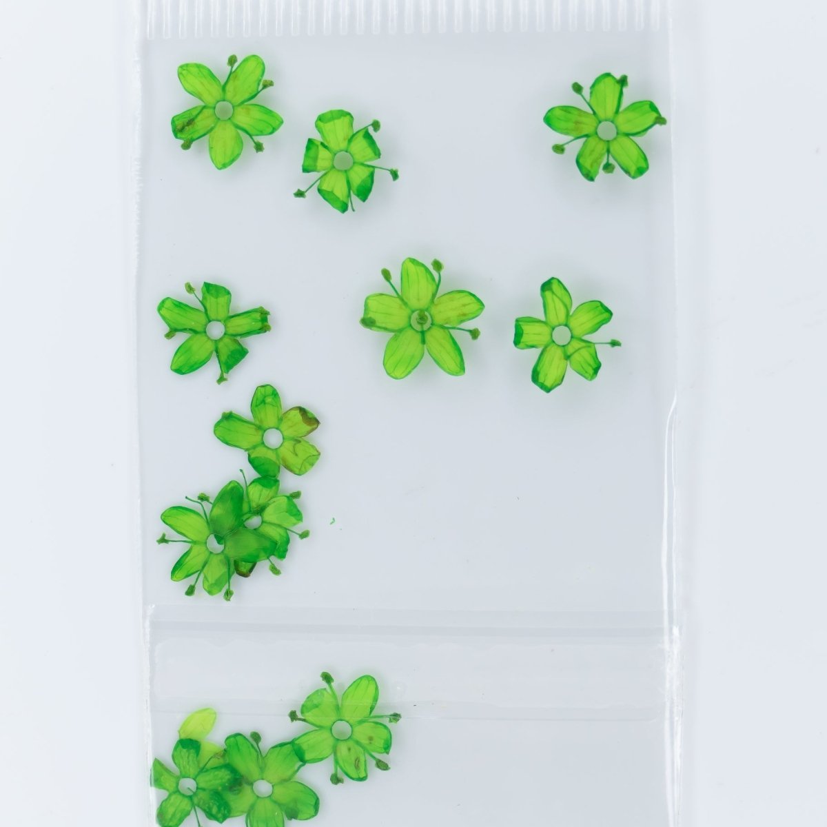 Dry Flowers (96) - Hey Beautiful Nail Supplies