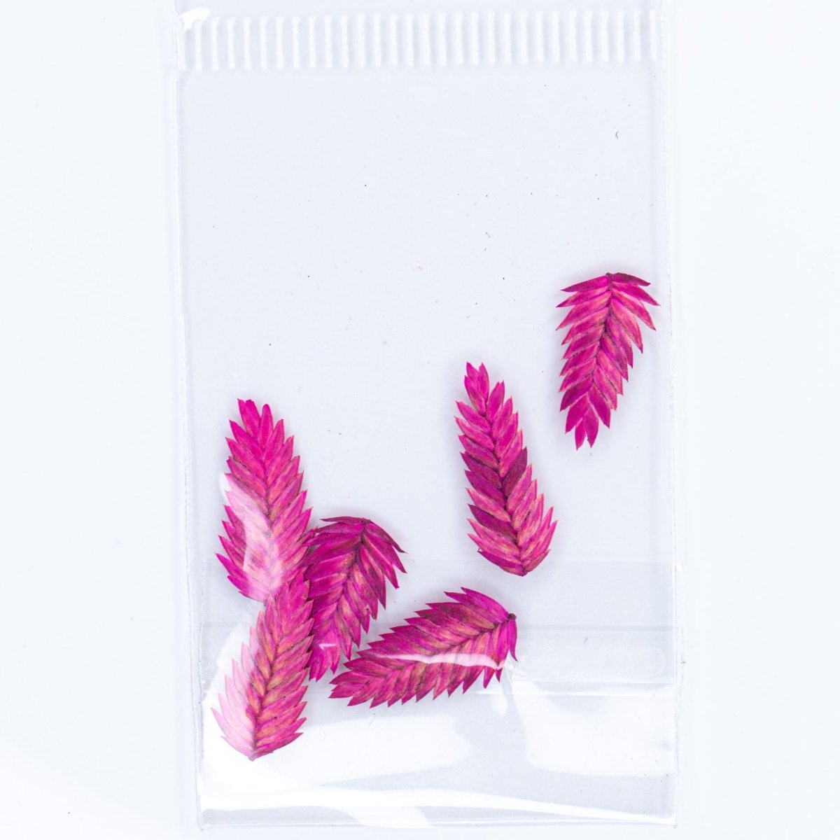 Dry Flowers (103) - Hey Beautiful Nail Supplies