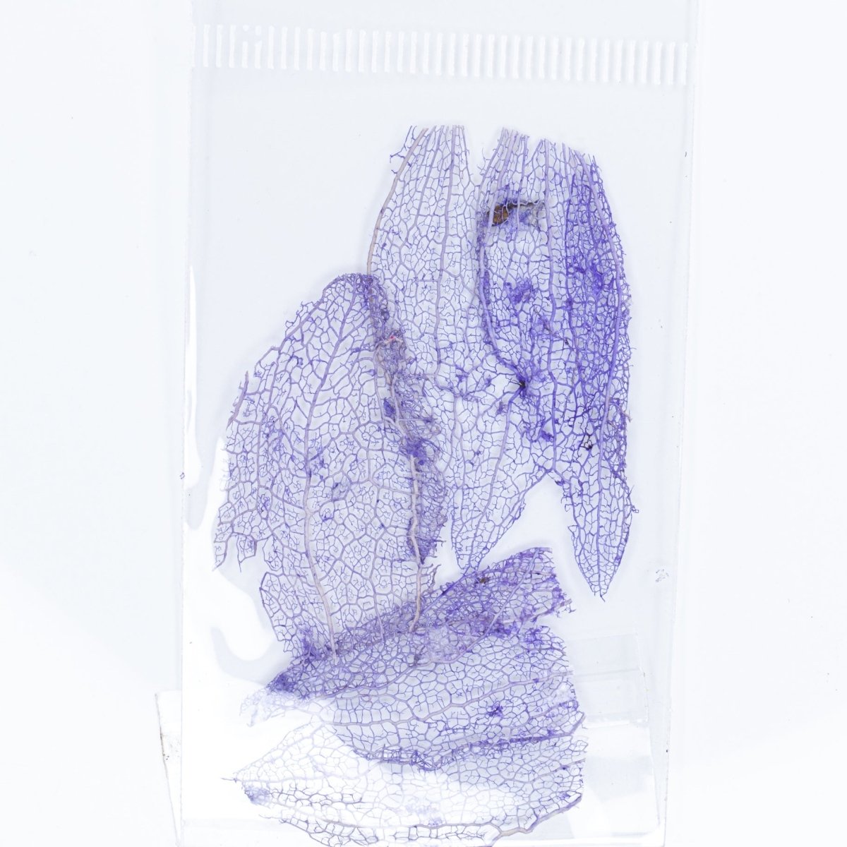Dry Flowers (117) - Hey Beautiful Nail Supplies