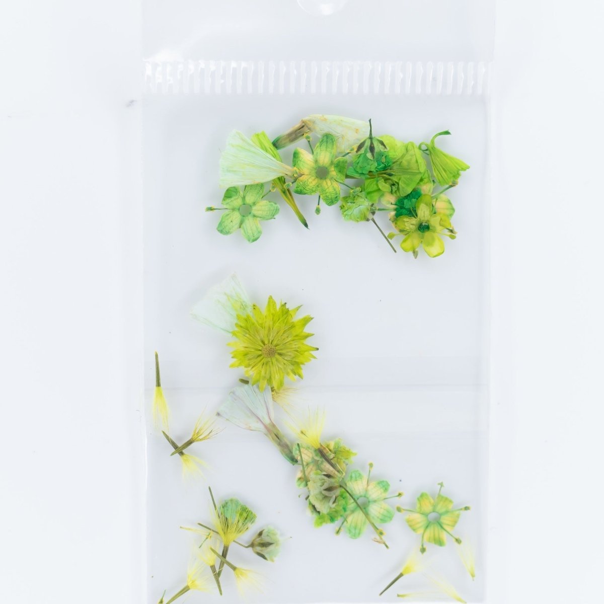 Dry Flowers (17) - Hey Beautiful Nail Supplies