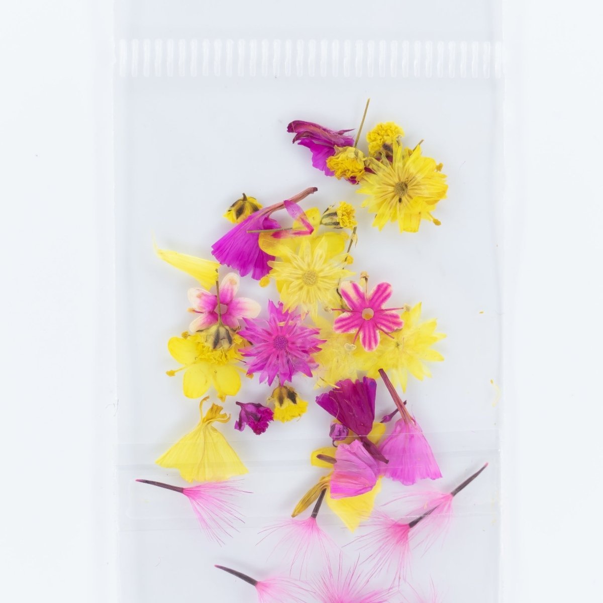 Dry Flowers (30) - Hey Beautiful Nail Supplies