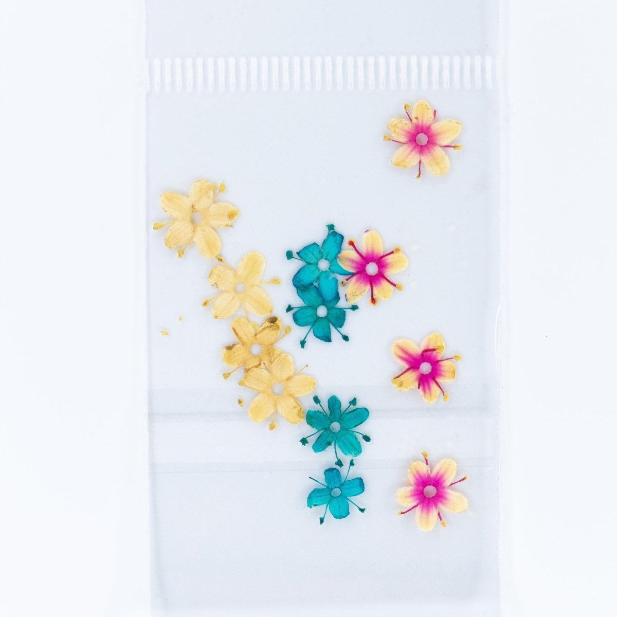Dry Flowers (69) - Hey Beautiful Nail Supplies