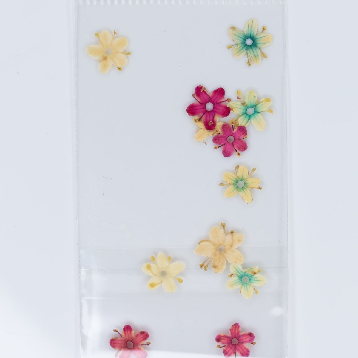 Dry Flowers (71) - Hey Beautiful Nail Supplies