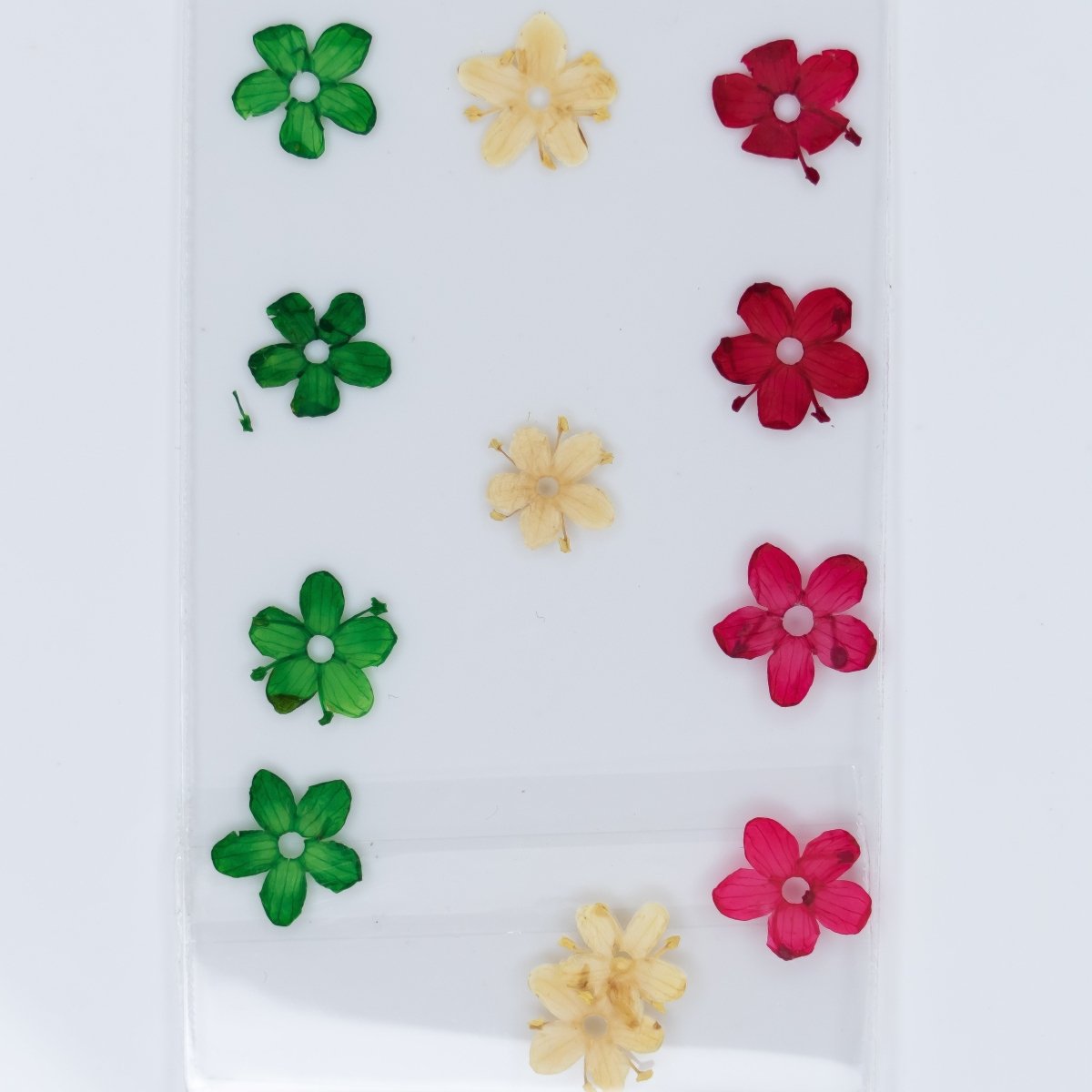 Dry Flowers (75) - Hey Beautiful Nail Supplies
