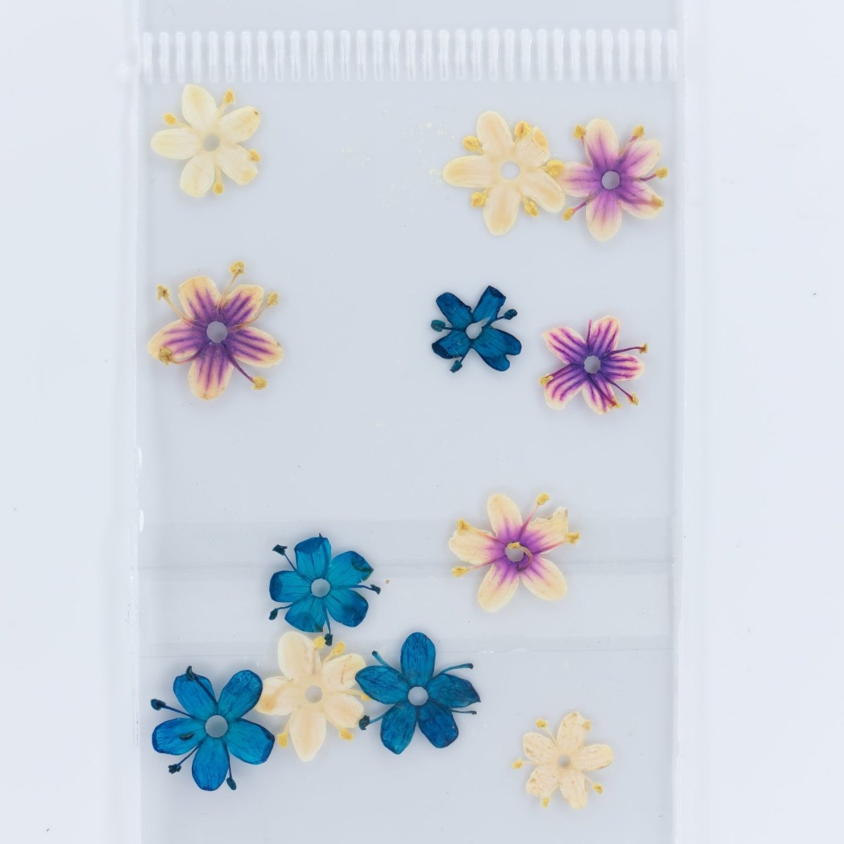 Dry Flowers (90) - Hey Beautiful Nail Supplies